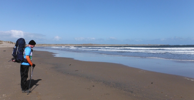´North
