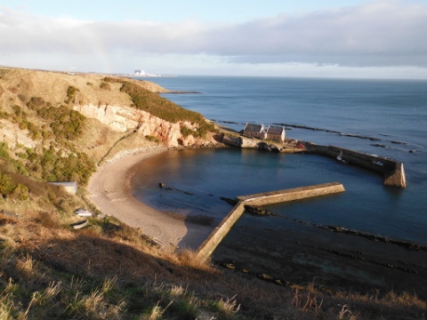 ´Cove