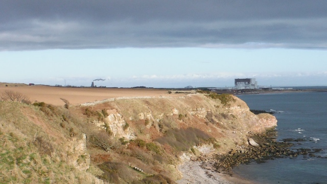 ´Torness´