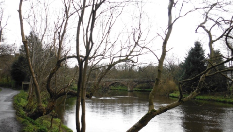 ´Bridge