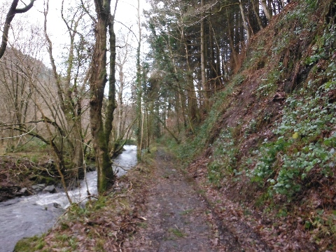 ´Wales