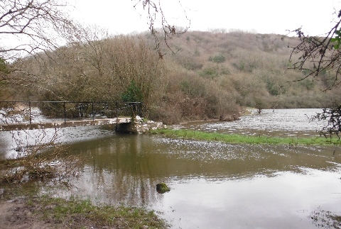 ´Flooded