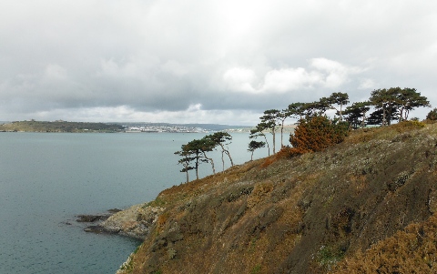 ´Falmouth