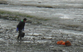 ´Digging
