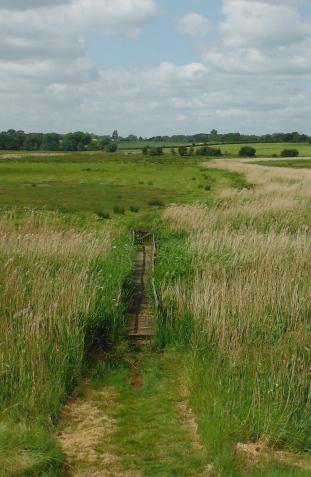 ´Footpath