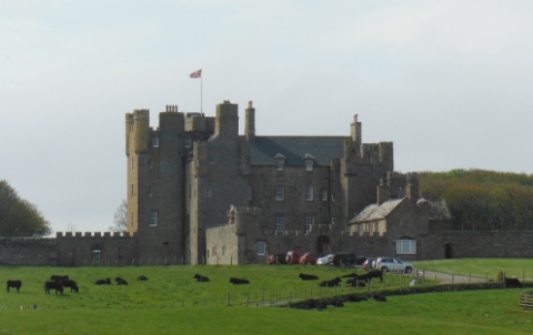 ´Castle