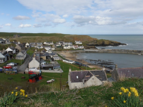 ´Collieston´