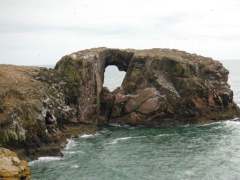 ´Dunbuy´