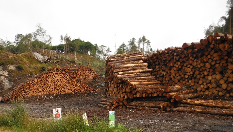 īLog