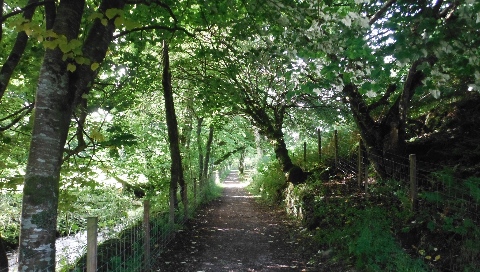 ´Footpath