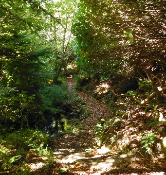 ´Footpath´