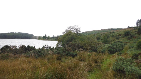 ´Cowal