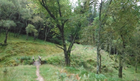 ´Footpath´