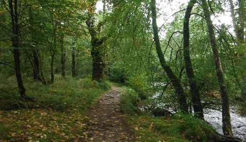 ´Footpath