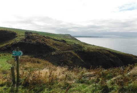 ´Ayrshire