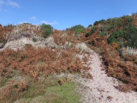 ´Footpath