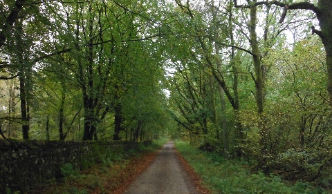 ´Cycleway