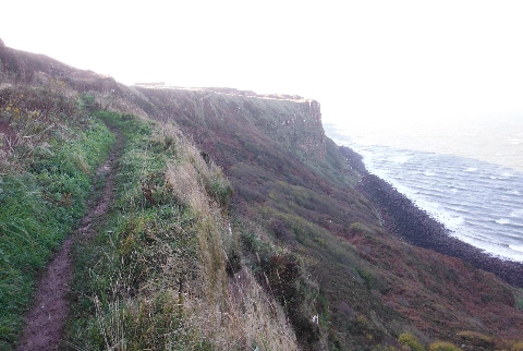 ´Path