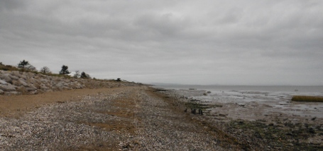 ´Coastline