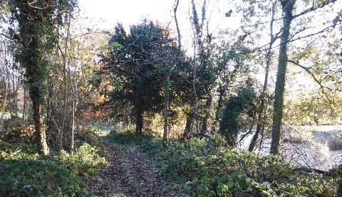 ´Footpath