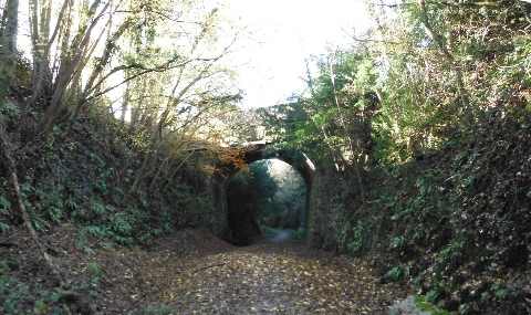 ´Footpath