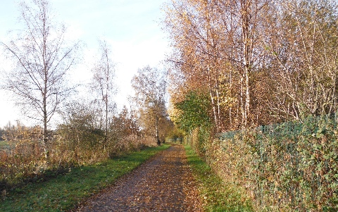 ´Cycleway
